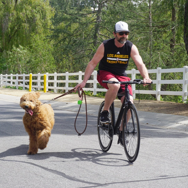 10 REASONS TO GET AN E-BIKE