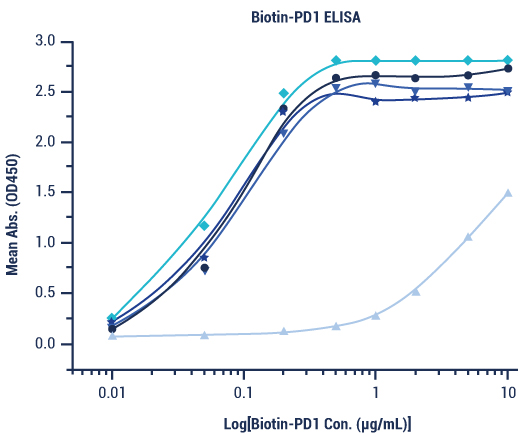 ActivitÃ© de liaison de diffÃ©rentes formes de PD-1 biotinylÃ© Ã©valuÃ©e dans un ELISA fonctionnel contre rhPD-L1