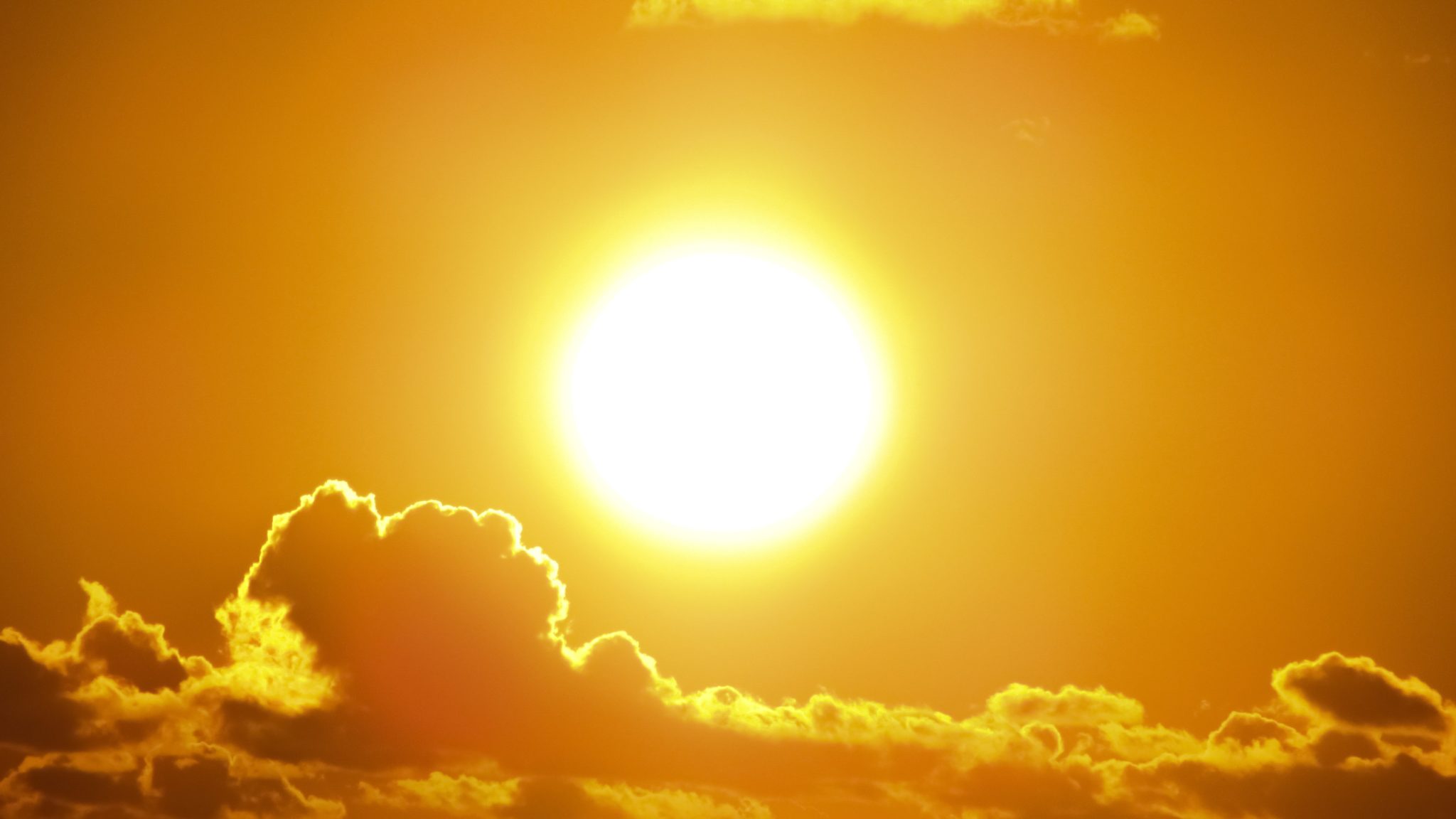 Record-Breaking…</a></strong></p>

                        </div>

                        <footer class=