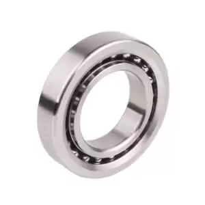 Ball Screw Bearings