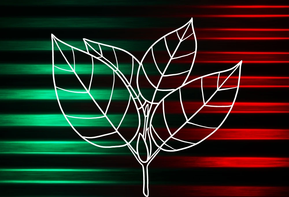 kratom
