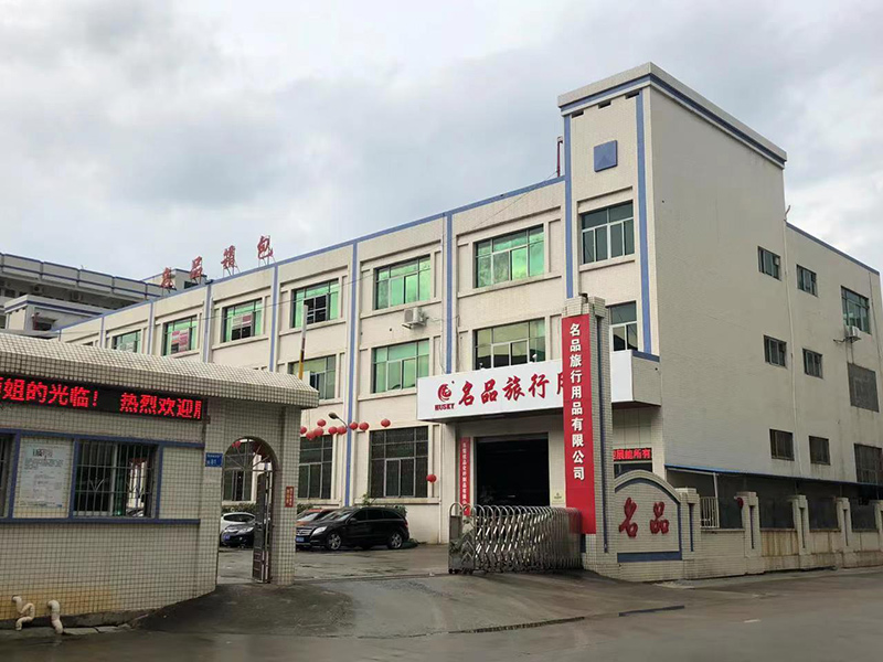 Dongguan Mingpin Traveling Appliance Company
