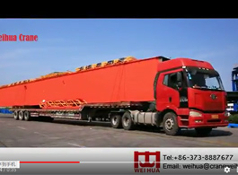Weihua Gantry Crane Delivery to Egypt 