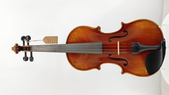 Violine-JMD-6