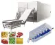 IQF Fluidized Free Freezer Bed For Fruits