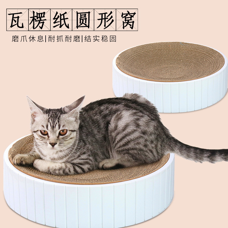 cat scratching board