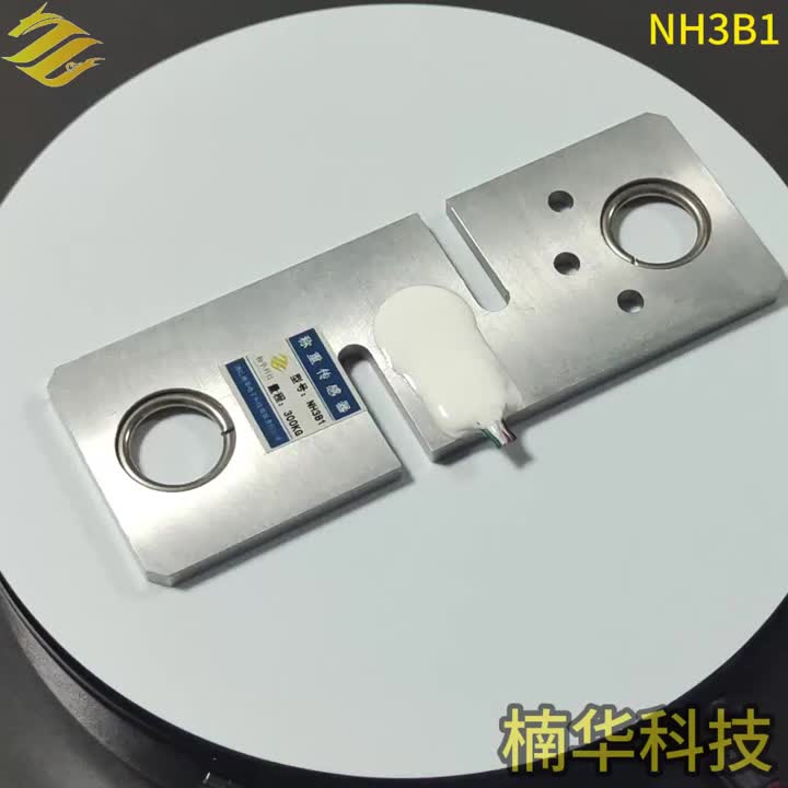 NH3B1-Miniature Load Cells