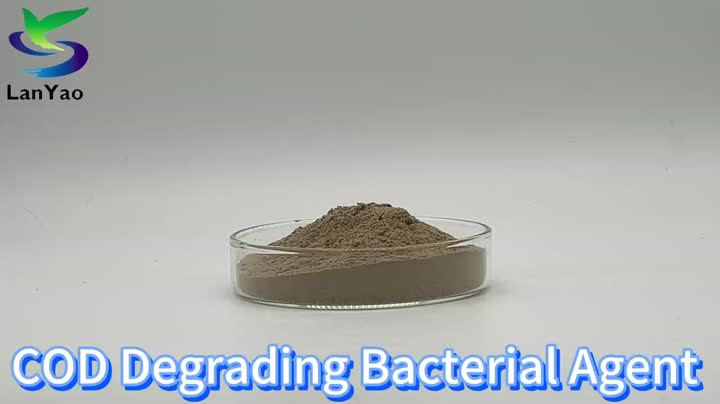 COD Degrading Bacterial Agent