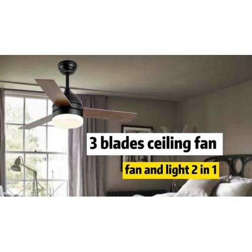 Fan ceiling lamp with intelligent remote control