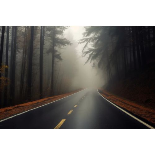 How to drive in foggy days?