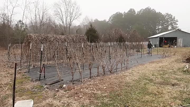 Tissu de contrôle des mauvaises herbes.mp4