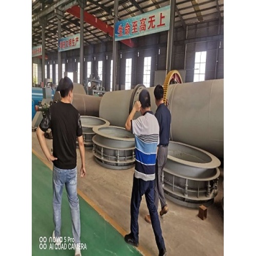 Jilin danzong visited the company to inspect the activated carbon carbonization furnace