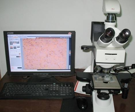 4.metallography