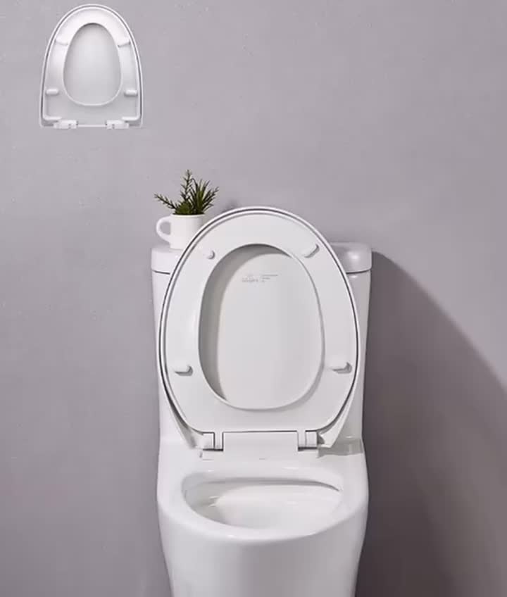 toilet seat .mp4