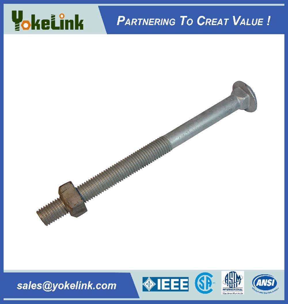 Carriage bolt