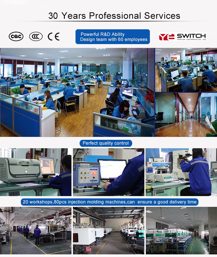 YESWITCH ELECTRONICS CO., LTD.