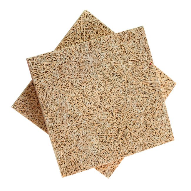acoustic ceiling panels