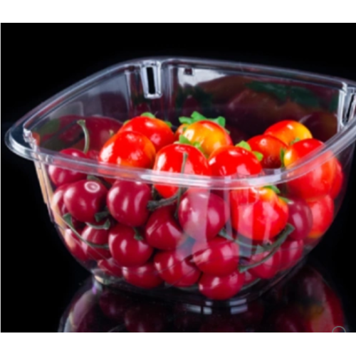 Évaluation des propriétés résistantes à l'humidité de la baignoire de tomates, de la baignoire des bleuets et de la boîte en plastique à voûte