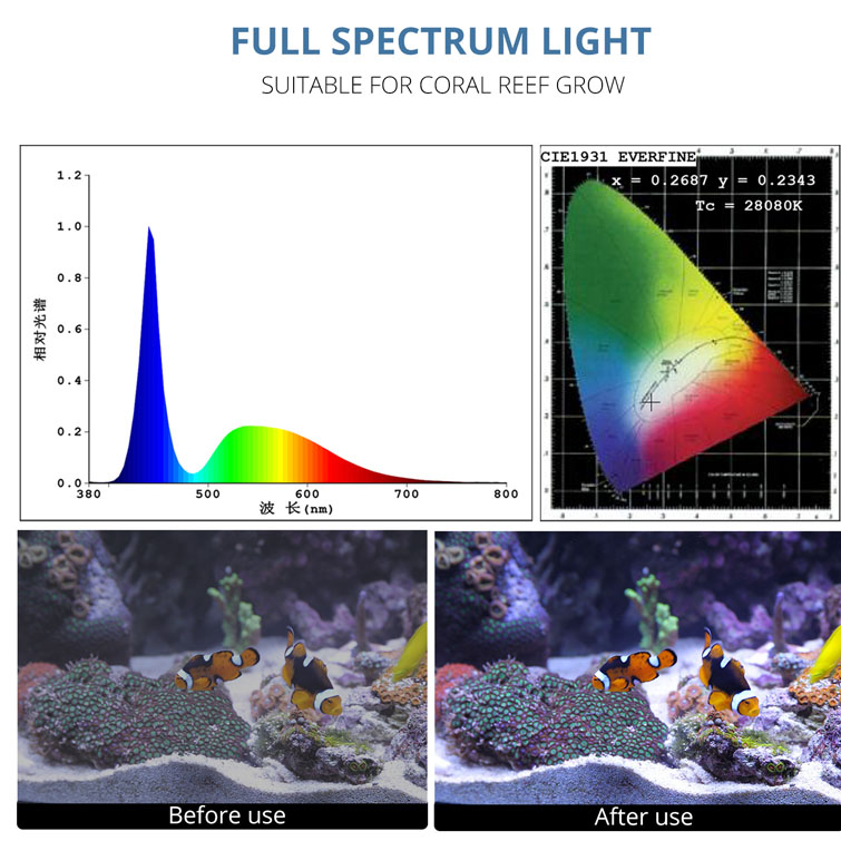 Coral Led Light Jpg