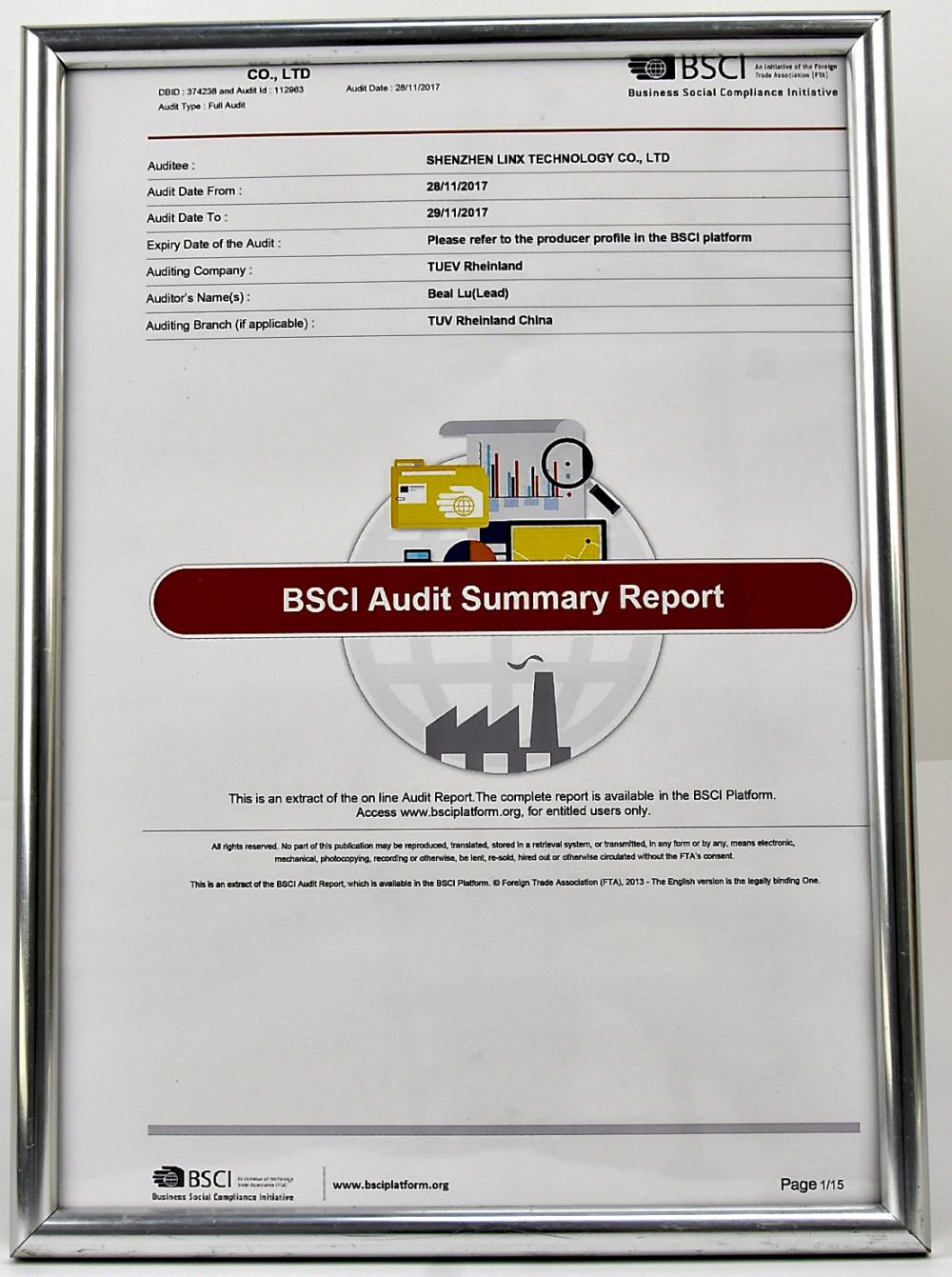 BSCI Audit Summary Report