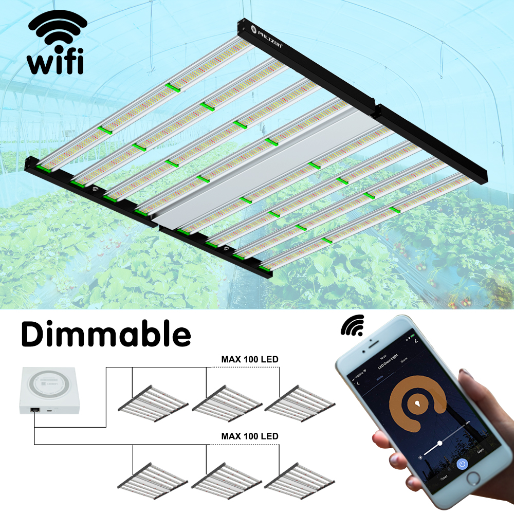 1000W Grow Lamp.