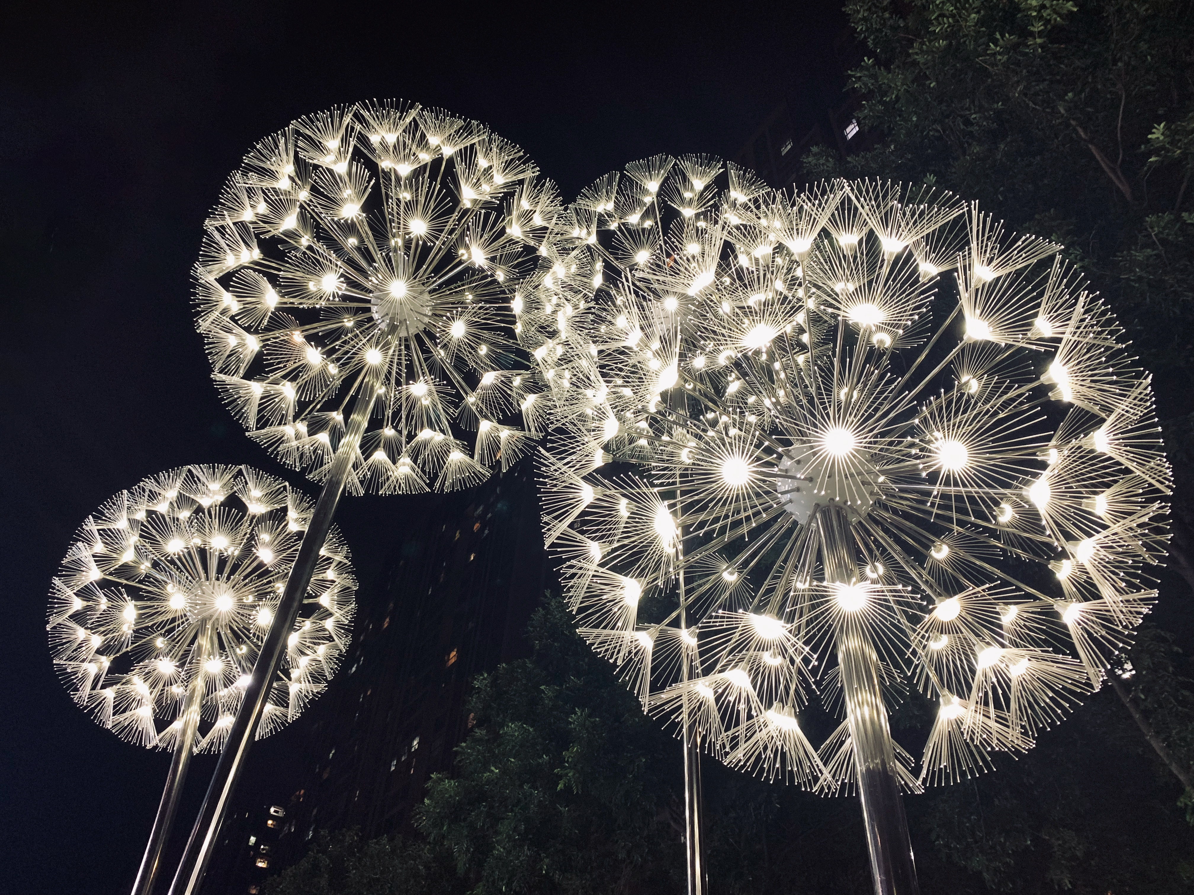 luz de diente de león