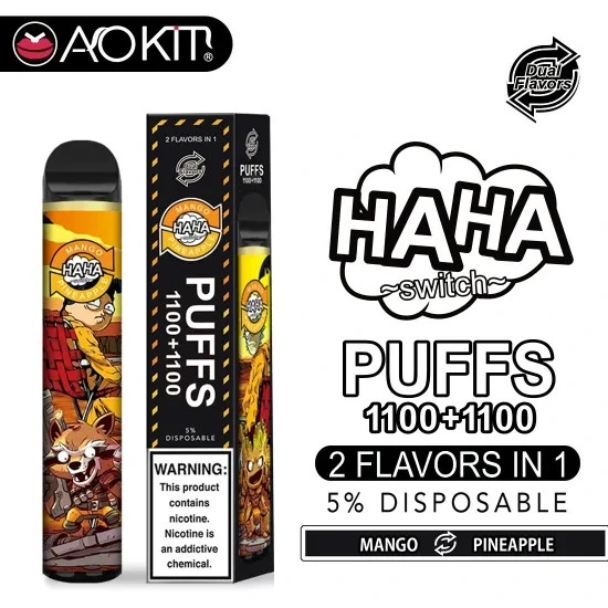 Hot Վաճառվում է 1000 mAh 2200 Puff with Double Flavors Vape Գրիչների հավաքածու