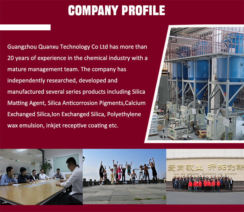 Company Profile