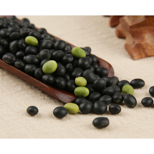 Black bean health benefits
