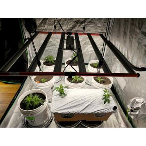 M650 Full Spectrum led grow light