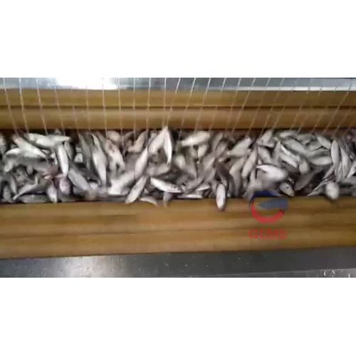 Fish descaling machine