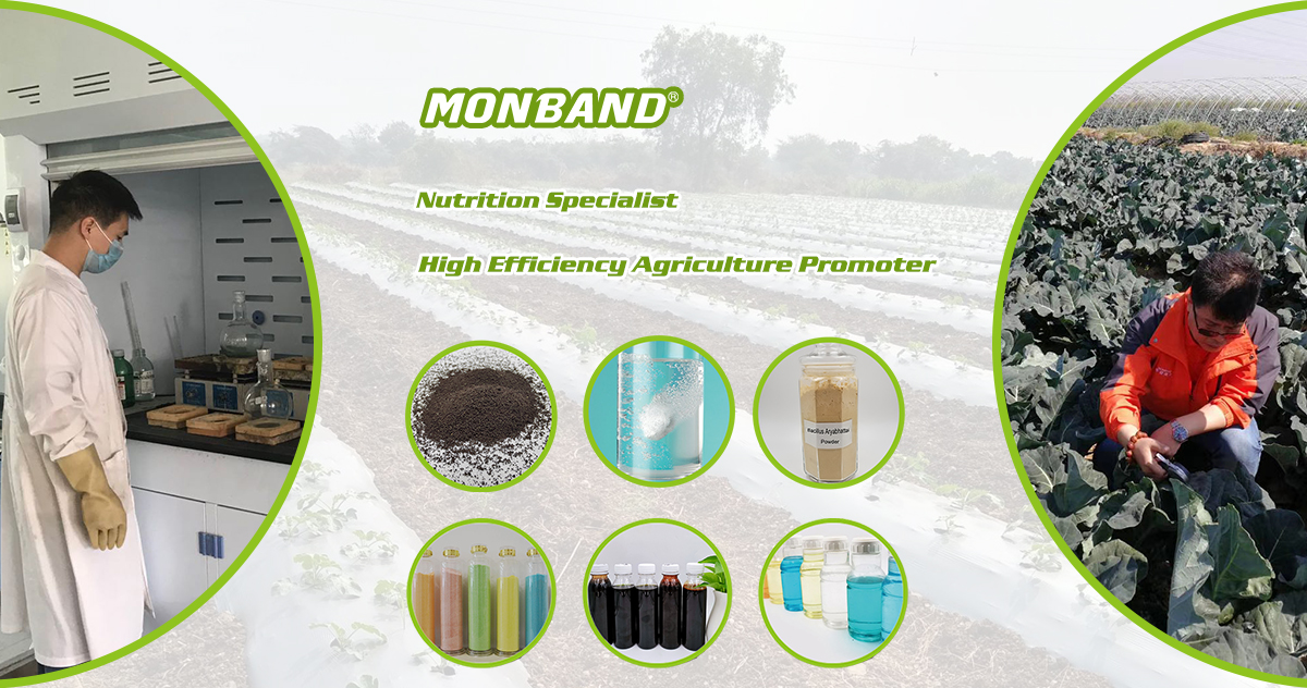pemasok pupuk fertilizer supplier