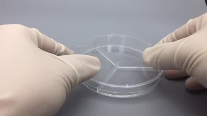 3 compartment petri plate