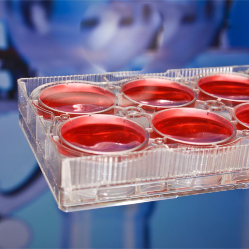 Selección y uso de placas de cultivo celular