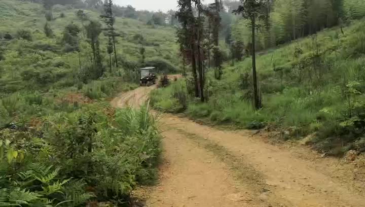 6 sièges puissants levés sur des voiturettes de golf hors route 