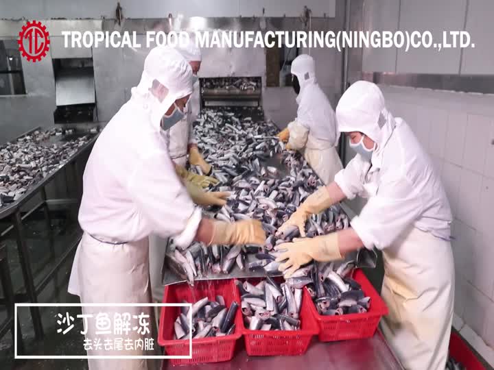 Tropische Lebensmittel Ningbo Factory Sardinenverarbeitung in Dosen.mp4