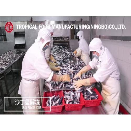 Tropische Lebensmittel Ningbo Factory Sardinenverarbeitung in Dosen.mp4