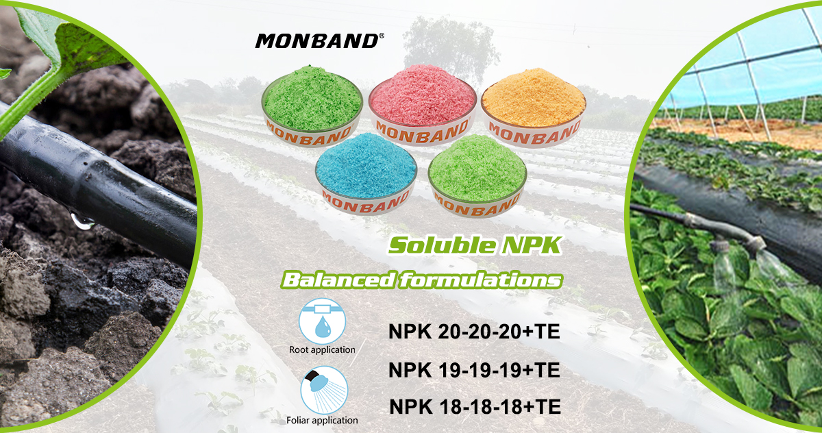 npk npk