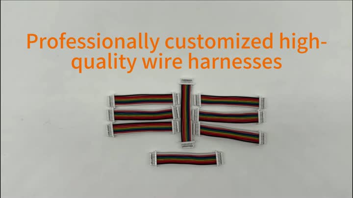 Custom wire harness SH1.0mm