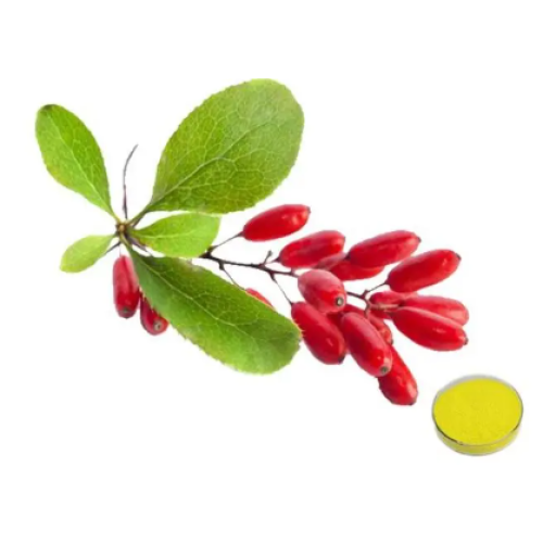 Berberine, a popular nutritional supplement on social media