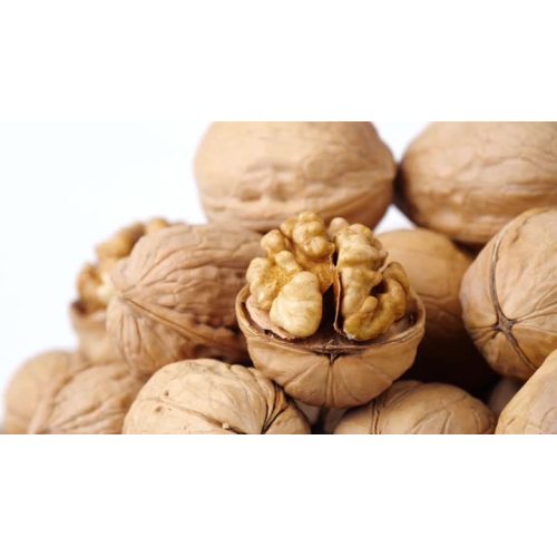 New crop 185 walnut 