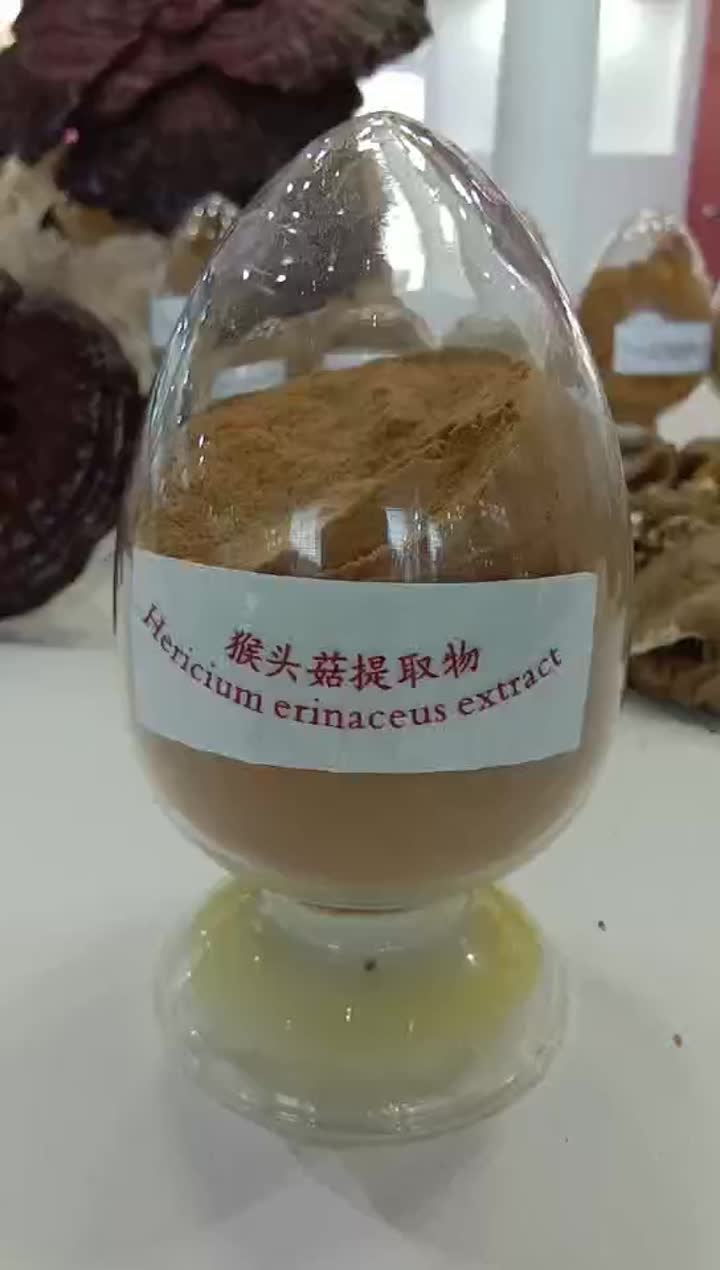 Hericium erinaceus extract