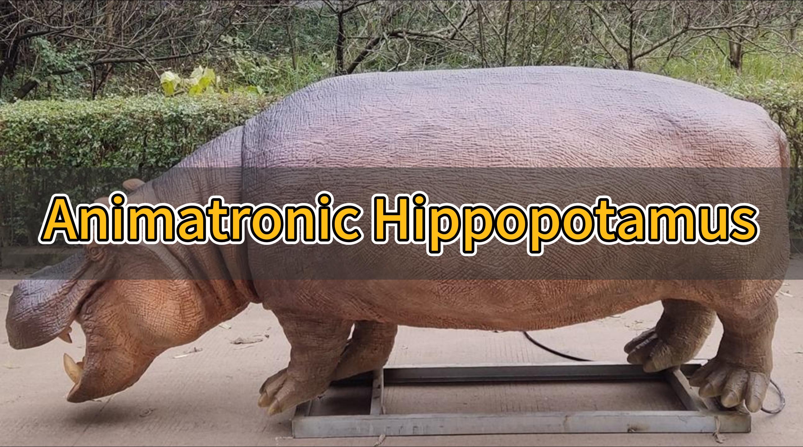 Video animatronic hippopotamus