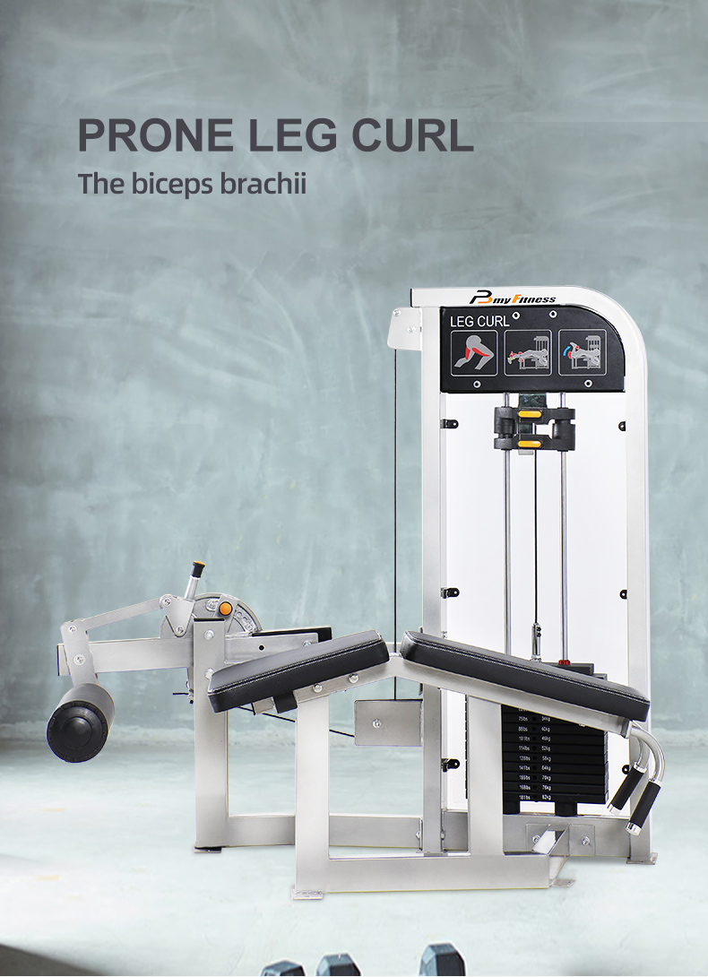 Seated Leg Extension Machine 01