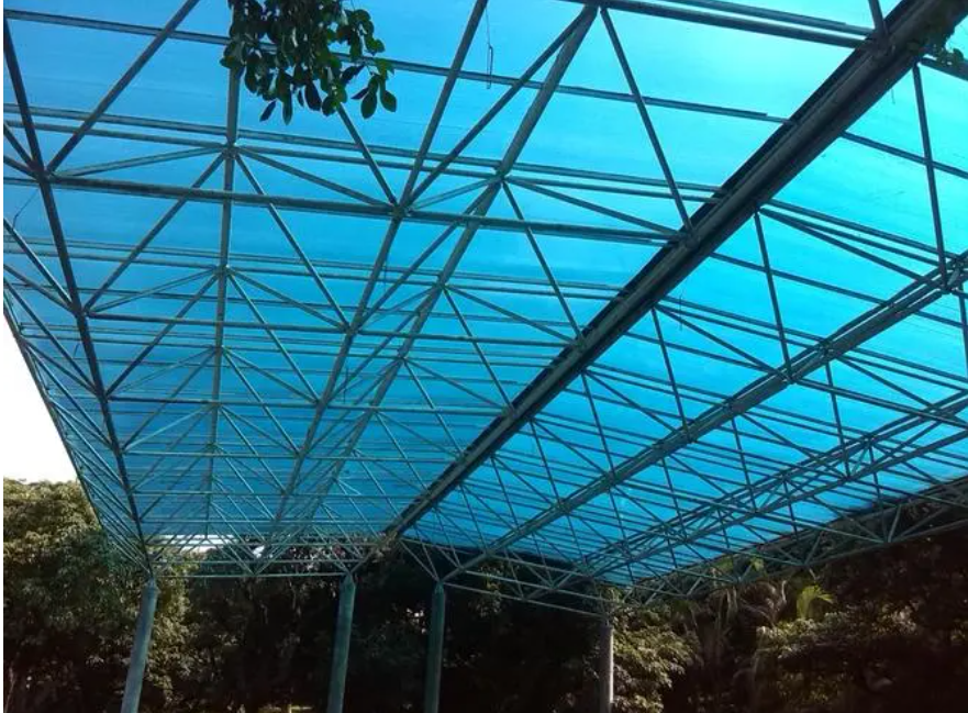 蓝色PC板冠层 Blue PC board canopy