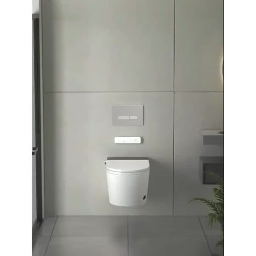 wallmounted smart toilet