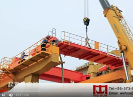 80t Tailgate Overhead Crane Installation and Commissioning