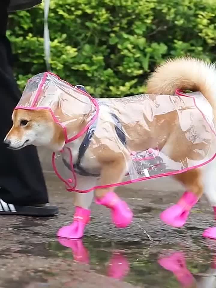 Heißer Verkauf Anti-Rutsch-Haustierzubehör Wasserdichte Katze Hund Schuhe Silikon Bequeme Haustier Regenstiefel - Kaufen Haustier Regenstiefel,Hundeschuhe,Haustierzubehör Produkt auf AliExpress.com