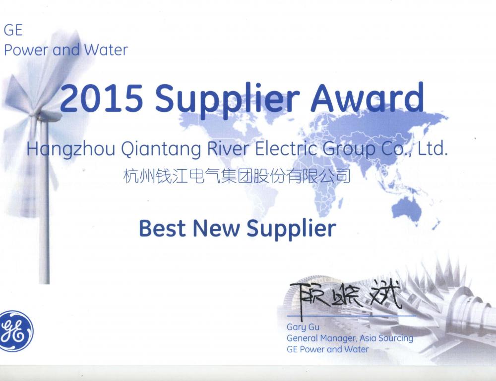 GE Best New Supplier