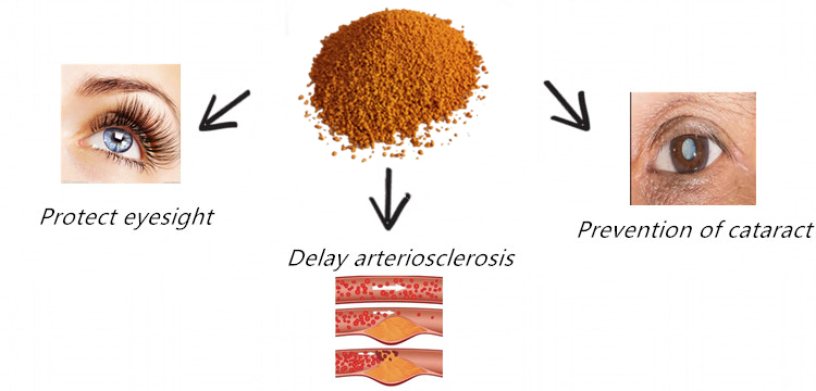 Lutein functions